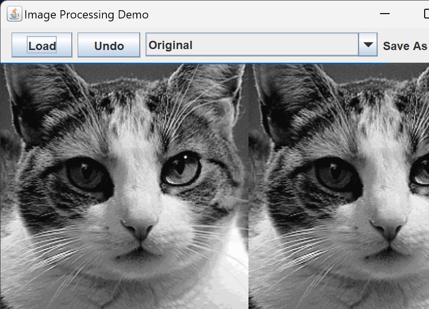 Image Processing Application
